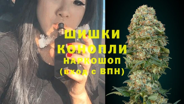 ALPHA PVP Осинники