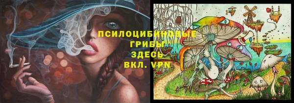 ALPHA PVP Осинники