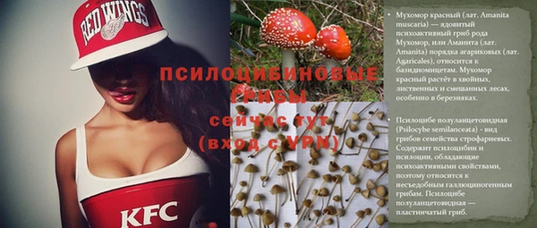 mdpv Осташков