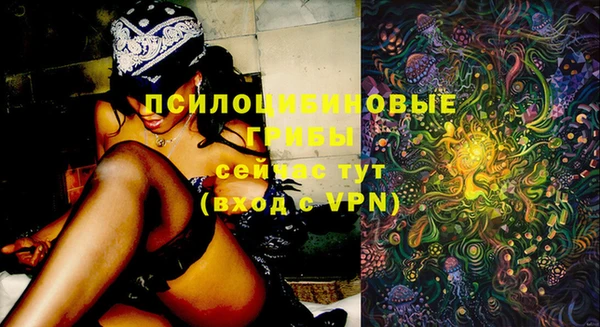 стафф Остров