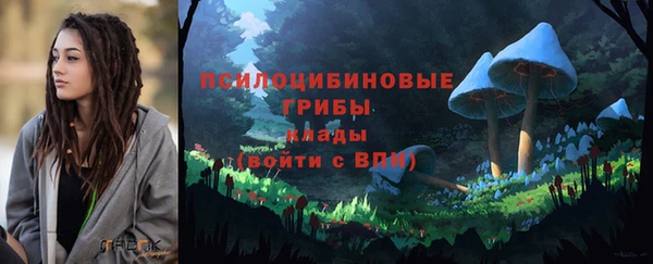 mdpv Осташков